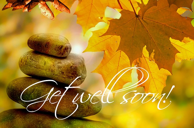 Get Well Soon, Autumn, Tree, Trees - Free image - 264506