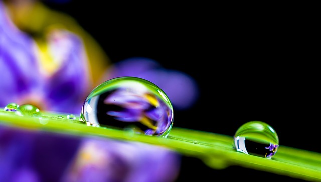 Drop Of Water, Drip, Blade Of Grass - Free image - 351778